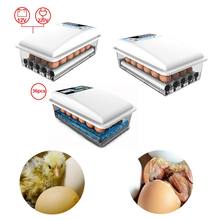 Incubadores de torneamento 24 ovos com controle de temperatura automático para incubadora de aves, ovos de pato solto e de galinha, potência dupla 110-220 v v 2024 - compre barato