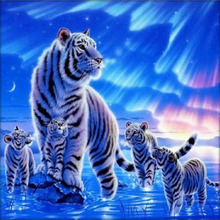 Decoração para casa, pintura diamante animal, tigre, 5d pintura diamante, pintura diamante quadrado completo/redondo diy diamante bordado venda 2024 - compre barato