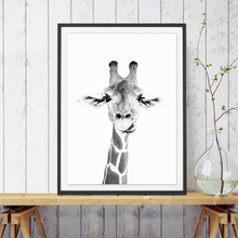 Póster de jirafa Safari para pared, impresión en lienzo, decoración del Zoo, divertido Animal en blanco y negro, fotografía, cuadro, decoración para guardería 2024 - compra barato