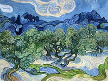 Lienzo de pintura al óleo Vincent Van Gogh para pintar paisajes, lienzo con ramas de los árboles de olivo florecientes, reproducción a mano 2024 - compra barato