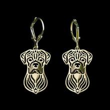 Fashion Alloy Drop Earrings Women's Jewelry Metal Boxer Earrings Drop Shipping 2024 - buy cheap