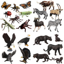 Figura de simulación nueva, modelo de Animales de plástico, águila calva, insecto, escarabajo, Araña, Biologia, juguete educativo de aprendizaje, decoración de Animales 2024 - compra barato