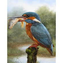 "Kingfisher & Fish" 5D DIY Full Square/Round Drill Diamond Painting Cross Stitch Rhinestone Embroidery Home Mosaic Decor WG1034 2024 - buy cheap