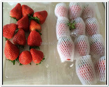 Thicken New white EPE Thick Egg Foam strawberry net mesh sleeve net foam fruit sleeve net packing material Wholesale price 2024 - buy cheap