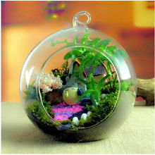 free shipping 6cm Hanging transparent glass vase fashion hydroponic handmade bottle ball wedding props home decor 2024 - buy cheap