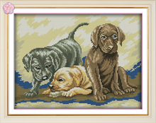 Kit de punto de cruz con estampado de tres cachorros, hilo de algodón de color DMC, 14ct, 11ct, lienzo bordado, costura hecha a mano 2024 - compra barato