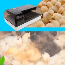 110V US Plug Egg Incubator Hatcher Universal For Farm Chicken Goose Pigeon Quail Eggs Hatching Device Mini Professional LED Elec 2024 - buy cheap