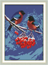 Snow migrant bird(2) cross stitch kit cartoon 11ct count canvas stitches embroidery DIY handmade needlework plus 2024 - buy cheap