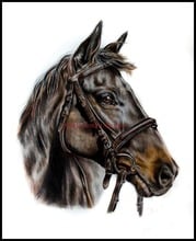 Наборы для вышивки крестиком 14 ct DMC DIY Искусство ручной работы Декор-Pretty Horse 2 2024 - купить недорого