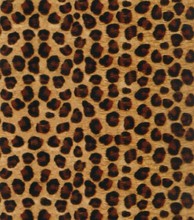 CSGW12745 1M*10M Leopard Animal Pattern Hydrographic Film Width Water Transfer Printing Films 2024 - buy cheap