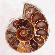 Free Shipping Fashion Jewelry Zinc Alloy Snail Natural Brown Shell Adjustable Ring 1Pcs Z272 2024 - buy cheap