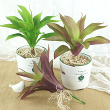 (5 unids/lote) Nueva Zelanda orquídea olla de exportación de ornamentos comerciales de plantas artificiales para la decoración de flor de plástico 2024 - compra barato