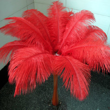 Venda por atacado! 100 pcs 25-30 cm/10-12 polegada red penas de avestruz avestruz plumas de avestruz pena barato decoração de mesa do casamento da pena 2024 - compre barato