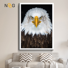 NOOG WILD Animal Canvas Painting Eagle Wall Art Picture For Living Room Art Poster Decoration Picture No Frame Morden Print Wall 2024 - buy cheap