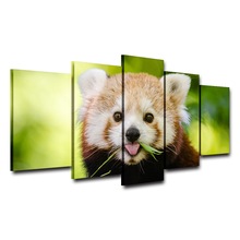 Pinturas en lienzo para decoración del hogar, arte de pared para sala de estar, 5 piezas, cuadros de Panda Rojo encantador, marco de carteles de animales Ailurus Fulgens 2024 - compra barato