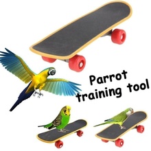Bird Parrot Intelligence Toys Mini Training Skateboard Parakeet Growth Toy 2024 - buy cheap