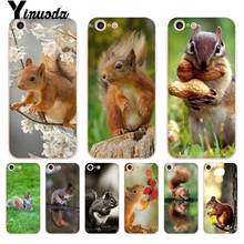 For iphone 13 7 Case squirrel water drink green grass Transparent Phone Case for iphone 13 8 7 6 6S Plus X 10 SE XR XS XSMAX 2024 - buy cheap