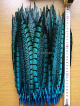 New arrival! 10 PCS 30-35 cm / 12-14 inches Sky Blue pheasant feathers, Amherst chicken tail feathers 2024 - buy cheap