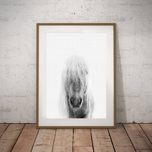 Лошадь Современная фотография картина холст живопись черный белый животное лошадь плакаты и принты для гостиной дома стены искусства Декор 2024 - купить недорого