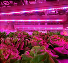 T8 Led crece la luz para planta LED crecer Luz de crecimiento de la planta de luz crecer luces 2024 - compra barato