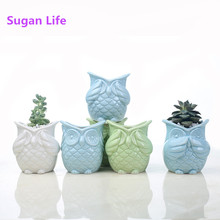 Sugan life 2019 NEW Owl shaped ceramic flowerpot Mini Owl animal porcelain flower plant pot for Desktop Home Garden decoration 2024 - buy cheap