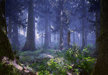 Фоны для фотосъемки с изображением леса ночи из полиэстера или виниловой ткани Высокое качество компьютерная печать на стене 2024 - купить недорого