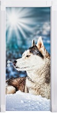 Creative Door Sticker Wolf Decor Wall Sticker DIY Door Cover Kitchen Home Decoration Accessories Modern 3d Wall Stickers 2024 - buy cheap