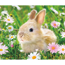 DIY Diamond Embroidery Rabbit in the flower Full Square/round Diamond Painting Cross Stitch Kit  Mosaic Home Decor 2024 - buy cheap
