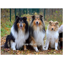 Full Embroidery,Sheepdog sheltie dog pet, Diamond Painting,diy Cross Stitch,Picture of Rhinestones,Mosaic,wall decoration YG409 2024 - buy cheap