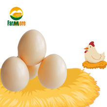 5 шт. имитации куриных яиц птицы искусственные яйца куриное гнездо поставки клетка для кур оборудование сельскохозяйственные инструменты 2024 - купить недорого
