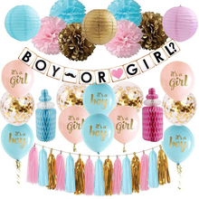 Conjunto de decoração reveal de gênero, rosa, azul, dourado, balões de confete, menino ou menina, lanterna de papel, favo de mel, garrafa de bebê 2024 - compre barato