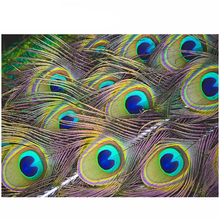 Diy Peacock feather Diamond Painting Stitch Diamond Embroidery Full Mosaic Rhinestones Gift Animal Wedding DecorationZP-1720 2024 - buy cheap