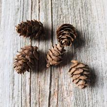 Mini Natural Pine Cones For Christmas Party Ornament Florists Wrapping Decoration 5pcs/bag 2024 - buy cheap