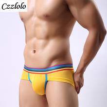 Czzlolo Sexy Erotic Soft Underwear Men Brand Briefs Solid Modal cueca underpants hombre men underwear Penis pouch male panties 2024 - buy cheap
