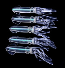 Big Sale 50pcs/10pack Squid Soft Bait With Color Tube Rubber Silicon Wobblers Tackle Luminous Artificial Fishing Lure 10cm 8g 2024 - купить недорого