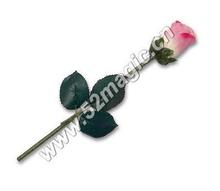 Free shipping! Color Changing Rose by Gerald le Guilloux - Trick,Close-up,Comedy,Card,Street Magic,Stage Magic props 2024 - buy cheap