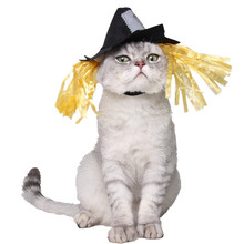 Dog Cat Halloween Party Cap Funny Scarecrow Pet Dog Hats Halloween Dress Up for Dogs Pet Festival Supplies 2024 - buy cheap