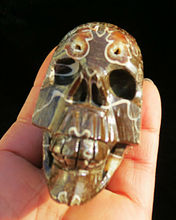 peculiar Nautilus fossil carving skull !! natural quartz crystal Madagascar 2024 - buy cheap