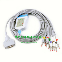 Cable Compatible con FUKUDA DENSHI EKG, cable de plomo, ECG, Banana 4,0 IEC 2024 - compra barato