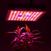 LED Grow Light 1500W Timer Lamp For Plants 100 Leds Phyto Lamp Full Spectrum Led Fitolampy Lights For Flowers Grow Tent Box Room 2024 - buy cheap