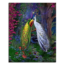 Diamond embroidery peacock lover  40x50  Diy diamond  square drill rhinestone pasted  Crafts Needlework home decoration 2024 - buy cheap