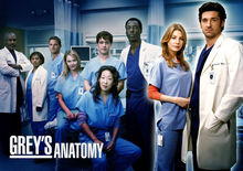 Home Decor Greys Anatomy TV Show 5-Silk Art Poster Wall Sticker Decoration Gift 2024 - buy cheap