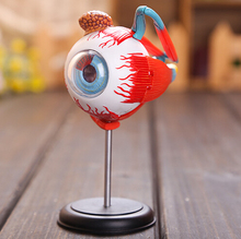 Modelo ocular, 32 Uds., modelo ensamblado de anatomía del ojo humano, nuevo modelo de estructura 3D del rompecabezas del ojo 2024 - compra barato