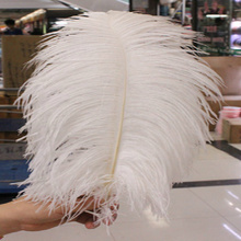New.50pcs high-quality hotel supplies birthday party supplies natural white feather feather 25-30cm 10-12 inches Free shipping 2024 - buy cheap