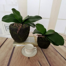 Phalaenopsis-planta con hojas artificiales de tacto real, flores decorativas, material auxiliar para decoración de flores, hojas de orquídeas, 1 Uds., novedad 2024 - compra barato