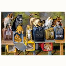 The Cat in the mailbox Needlework,Cross stitch Animals Handmade 16CT 14CT Canvas DIY,Cross-stitch kits,Embroidery Art Home Decor 2024 - buy cheap