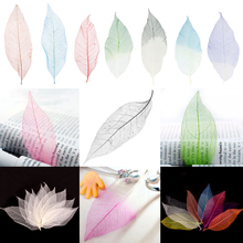 50Pcs Colorful Natural Magnolia Skeleton Leaf Leaves Invitations Cards Scrapbook Tags DIY Wedding Party Favor Supply Home Decor 2024 - buy cheap