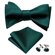 Pajaritas de seda para hombre, corbata de diseñador verde, gemelos, Collar de traje, mariposa extraíble, joystick, WangLH-1012 2024 - compra barato