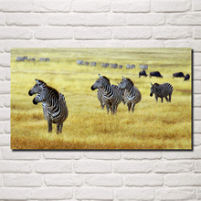 Marchando zebra savana natureza animais da vida selvagem arte da tela posters na parede imagem da casa sala de estar decoração kg990 2024 - compre barato