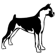 13.7*12.7cm boxer cão vinil decalque capa do carro arranhões dos desenhos animados animais adesivos acessórios estilo carro C6-0498 2024 - compre barato
